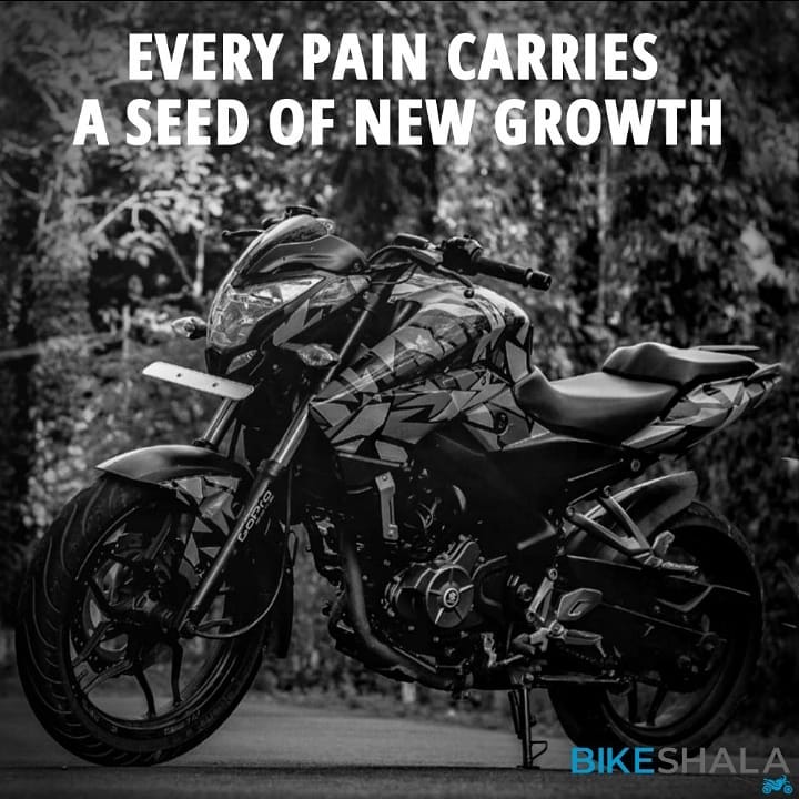 Every pain carries a seed of new growth