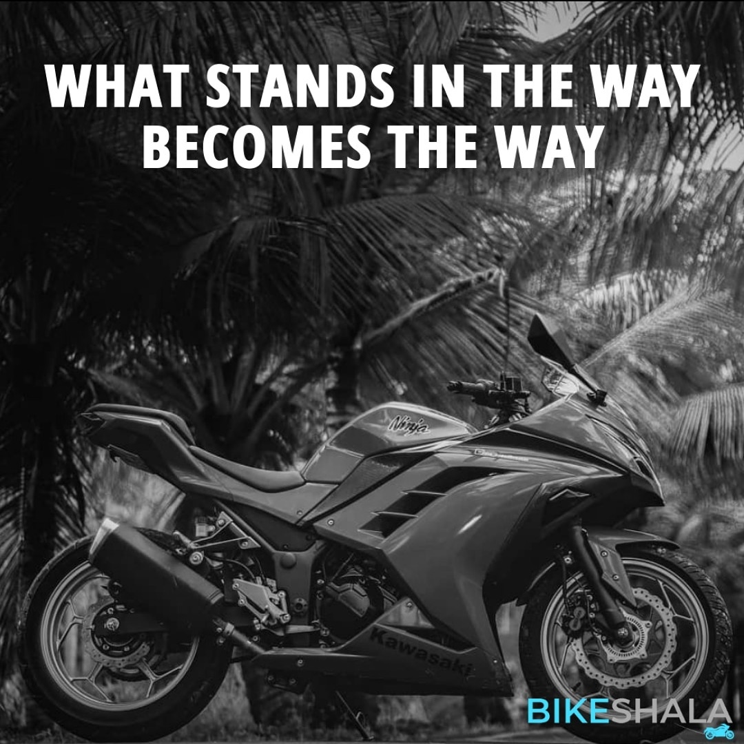 What stands in the way, becomes the way