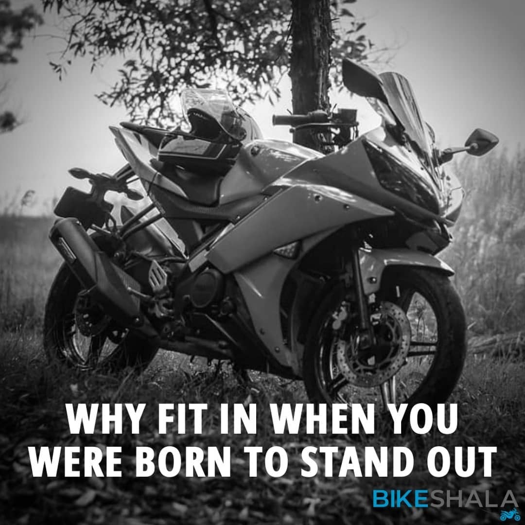 Why fit in when you were born to stand out